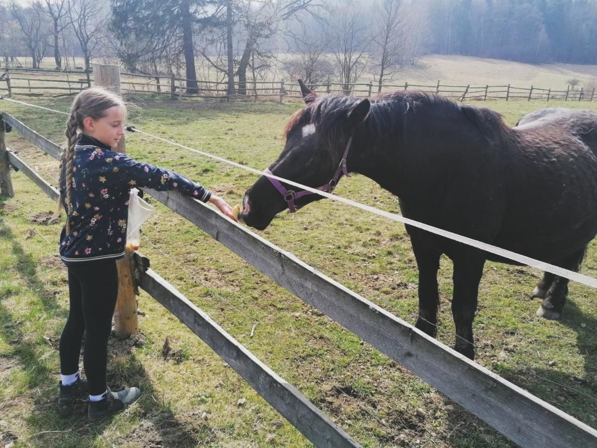 Фермерские дома Agrozajazd Radków Радкув-18